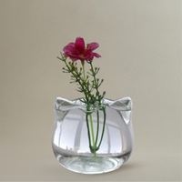 Vase Transparent en Forme de Chat