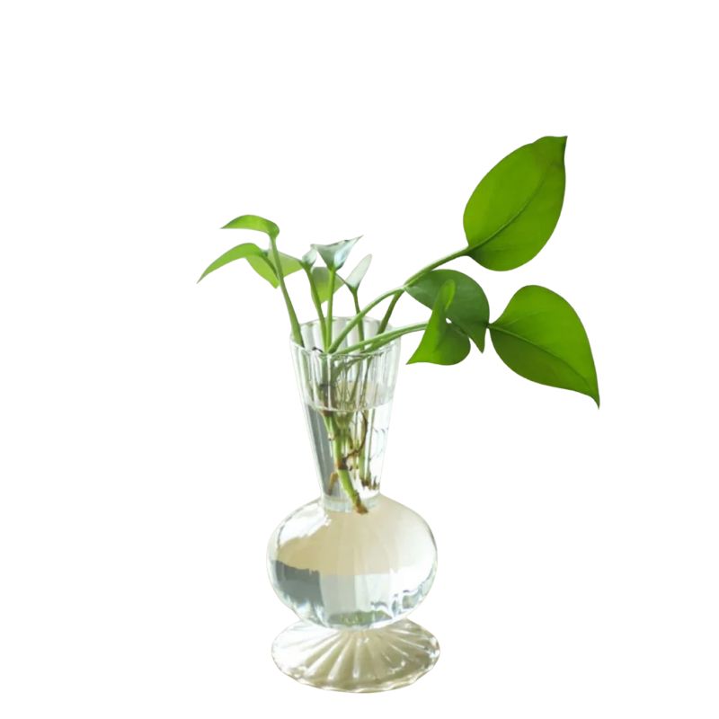 Vase en Verre d'une Forme Exquise de Style Nordique