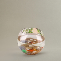 Vase Boule en Verre pour Micro Paysage et Hydroponie