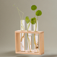 Vase avec Cadre en Bois pour Plantes Hydroponiques