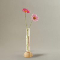 Vase Transparent en Verre avec Support en Bois