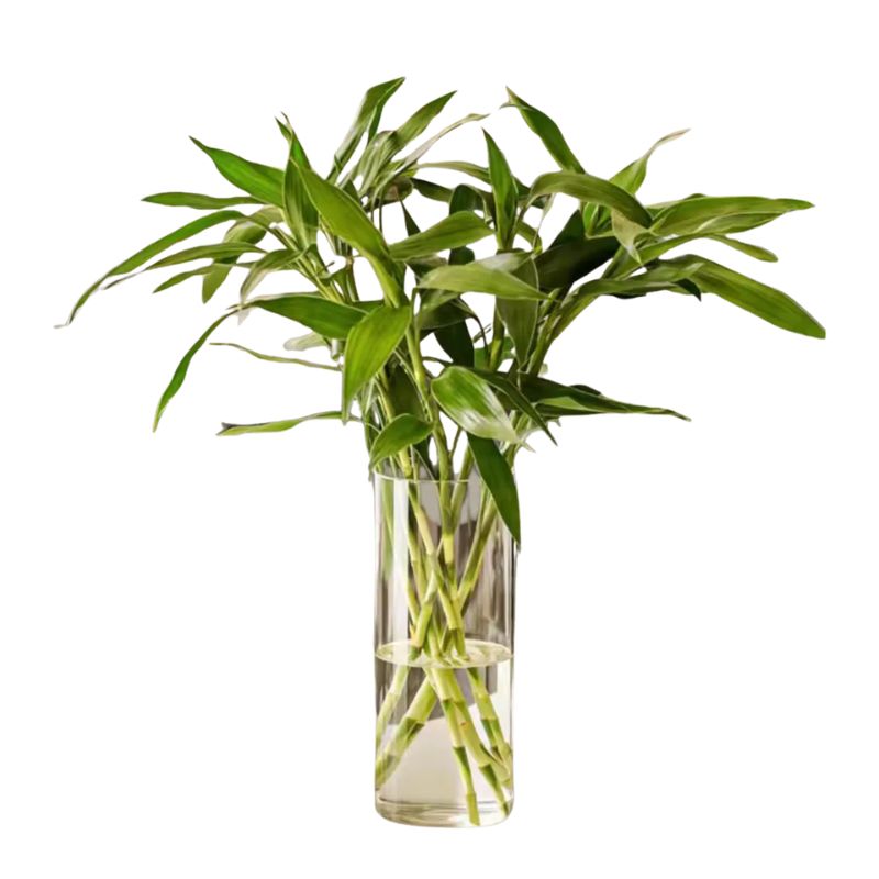 Vase en Verre Acrylique en Forme de Cylindre